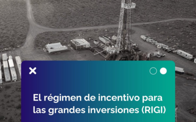 Desde la Sociedad Argentina de Bioetica y Derechos Humanos decimos enfáticamente NO AL RIGI.